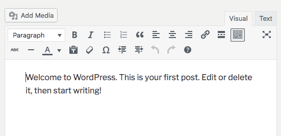 WordPress Text editor